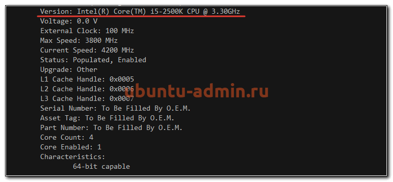 Подробная информация о процессоре в ubuntu server
